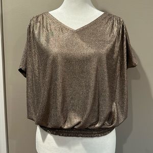 Pilcro Bronze Metallic Blouse